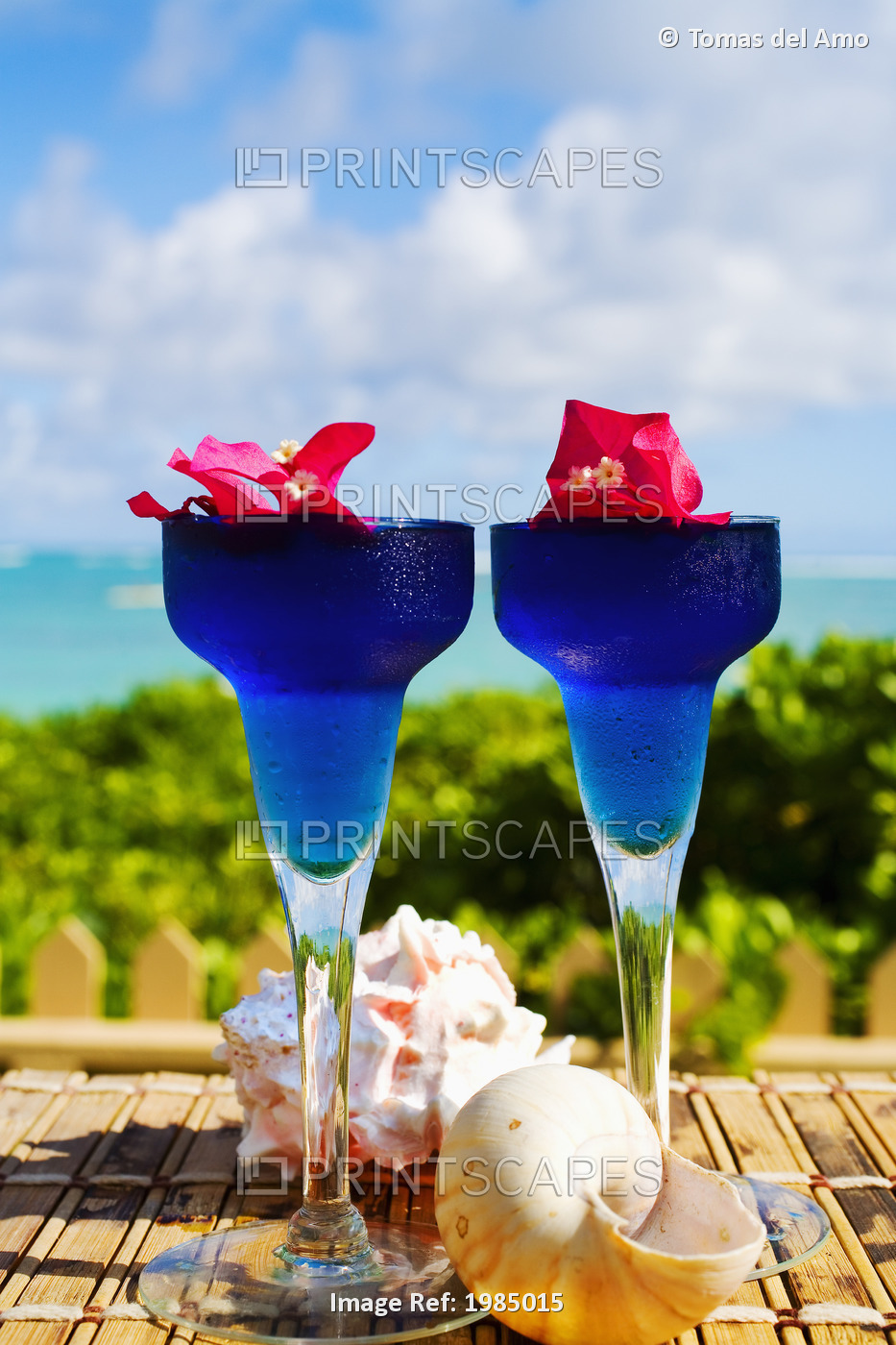 Two Tropical Cocktails Garnished With Flowers In Outdoor Setting.