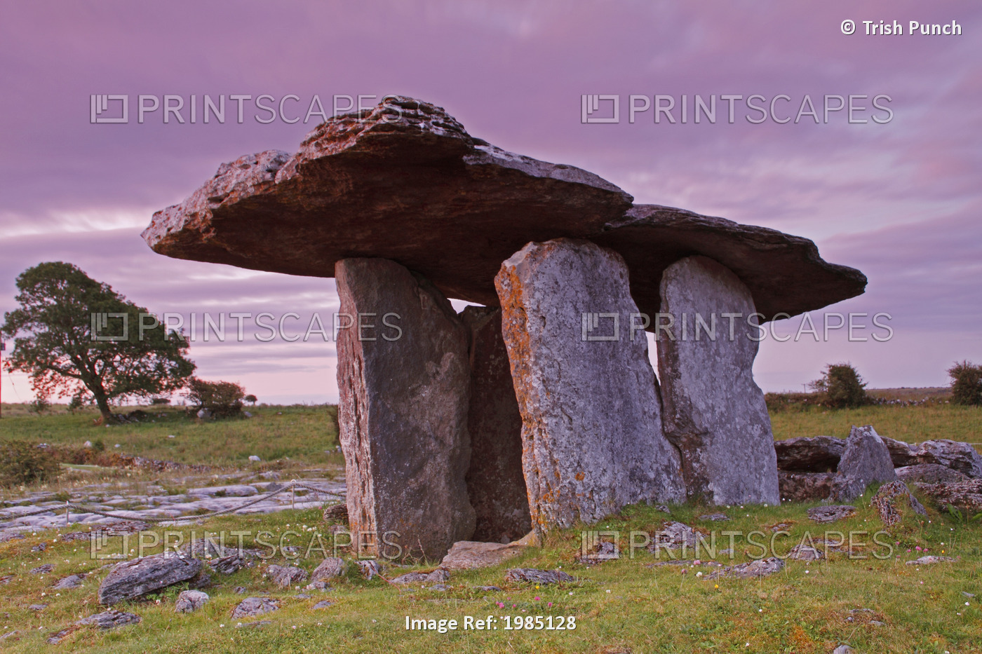 Poulnabrone Portal Dolmen In The Burren Region; County Clare, Ireland