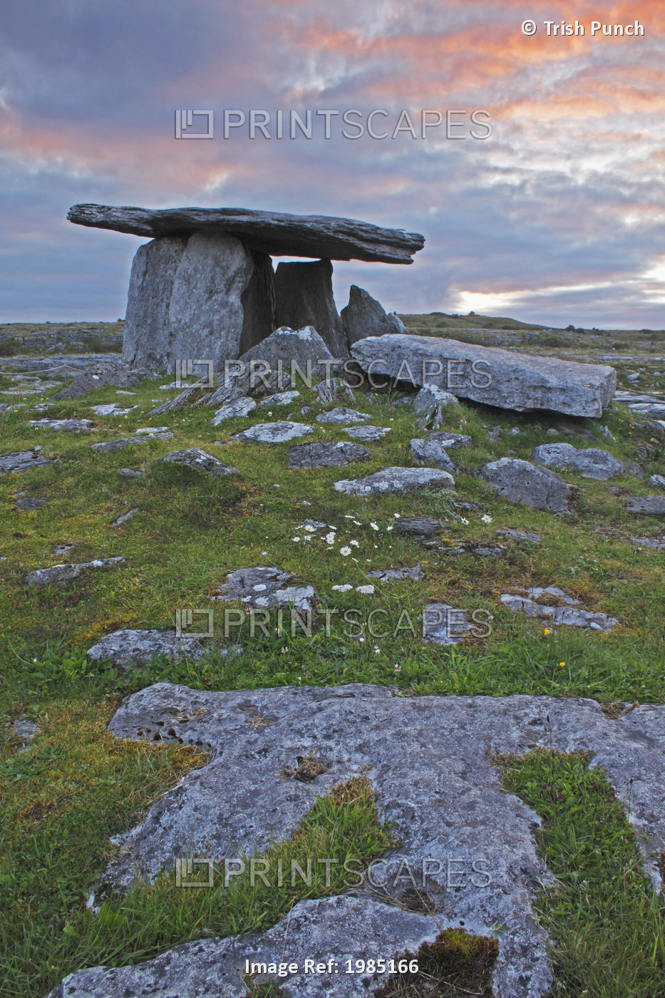 Poulnabrone Grave Site In The Burren Region; County Clare, Ireland