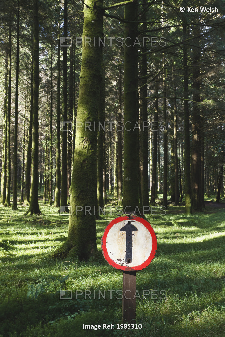 Direction Sign In Gougane Barra Forest Park; County Cork, Republic of Ireland