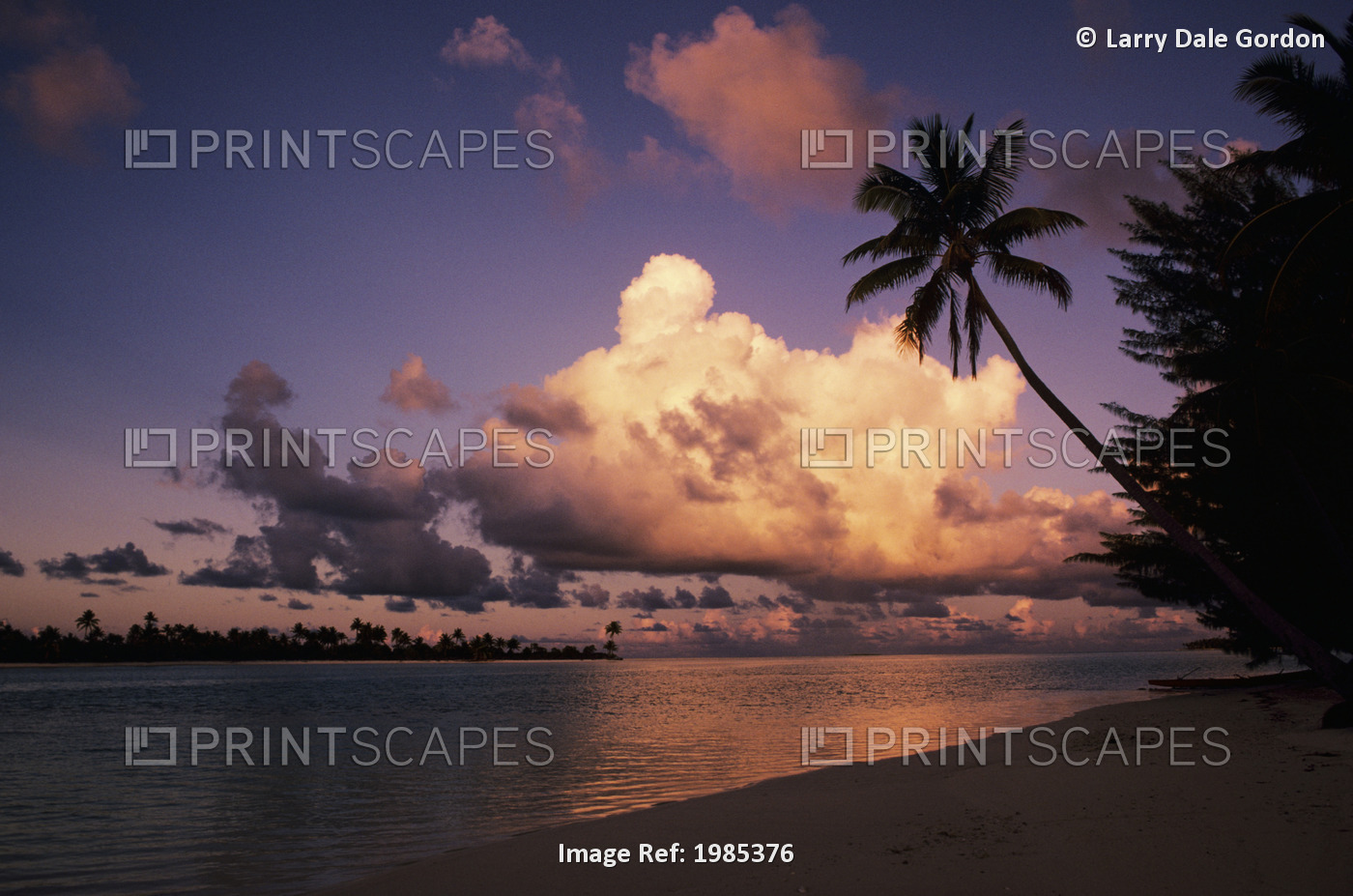 French Polynesia, Tetiaroa (Marlon Brando's Island), Beautiful Beach With Palm ...
