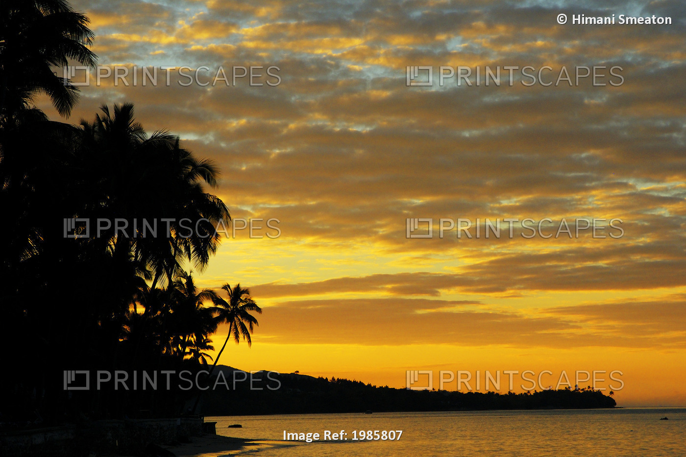 Fiji, Viti Levu, Coral Coast, Orange Sky At Sunrise, Silhouette Of Palm Trees ...