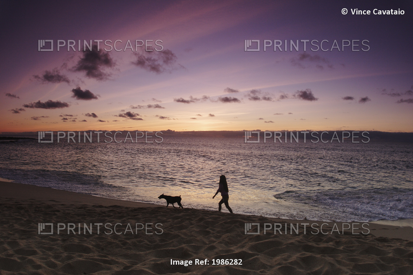 USA, Hawaii Islands, Oahu, Silhouette of girl walking with dog on beach at ...