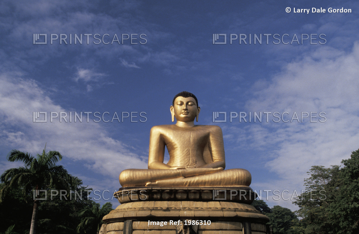 Sri Lanka, Colombo, Victoria Park, Golden Buddha Statue.