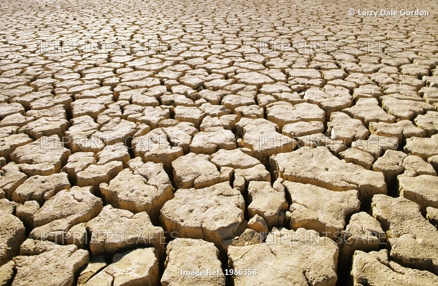 Africa, Namibia, Detail Of Cracked Mud In Dry Lake Bed.