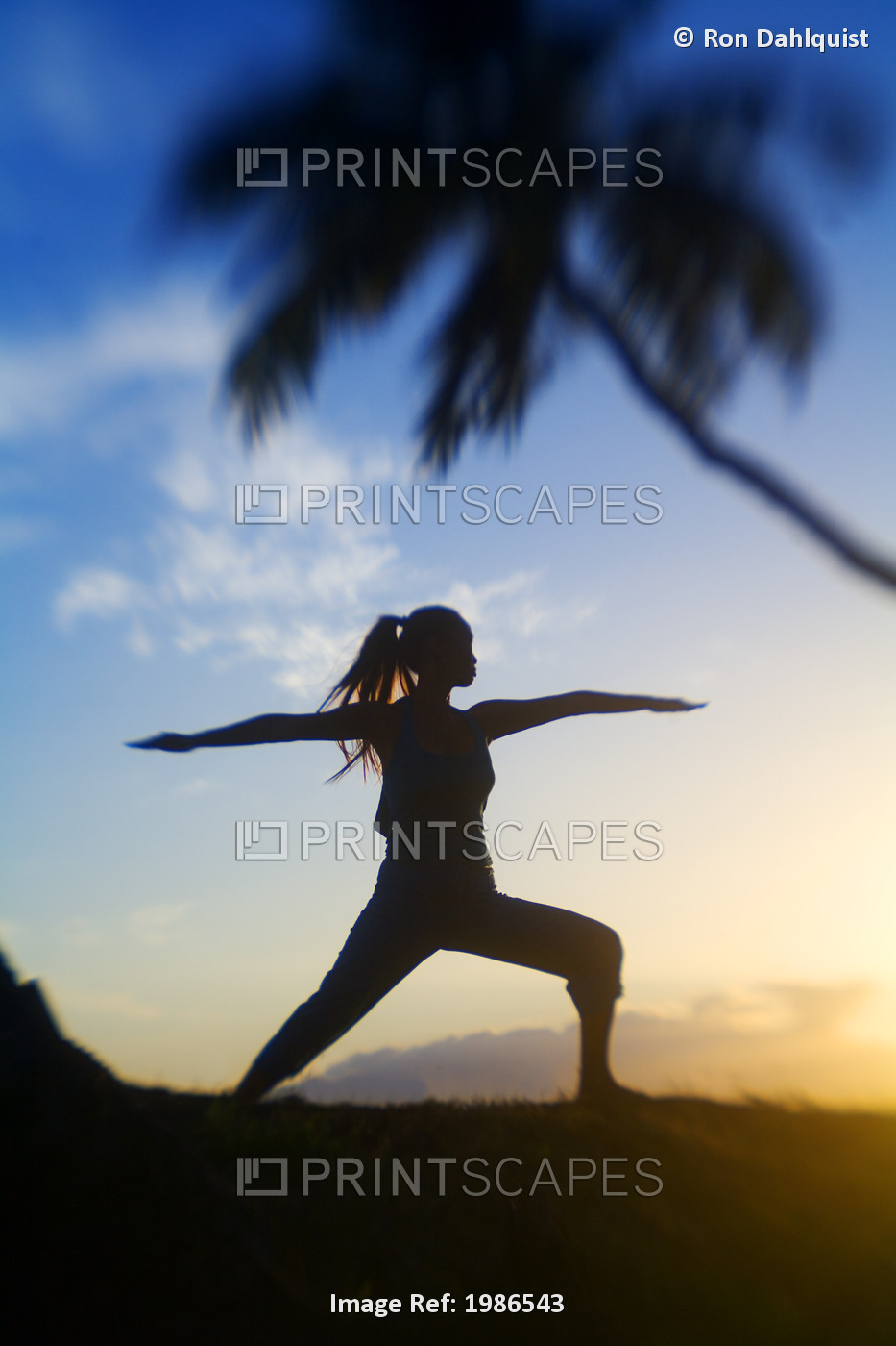 Hawaii, Maui, Olowalu, Woman Doing Yoga At Sunset Under Palm Trees.