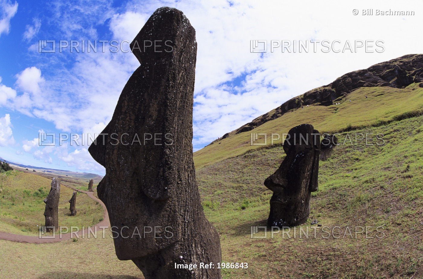 Easter Island, Close-up of Moai statue on grassy hillside; Rano Raraku Area