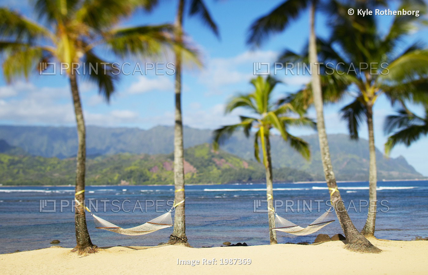 USA, Hawaii, Kauai, Two hammocks hanging between palm trees on sandy tropical ...