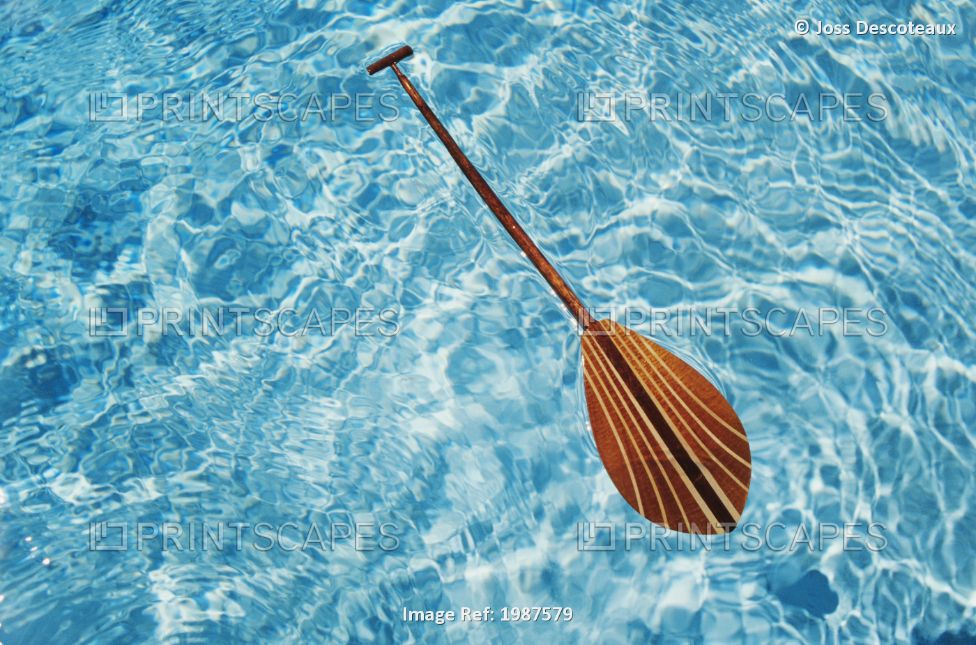 Overhead View Of Paddle Floating On Surface Of Turquoise Water.