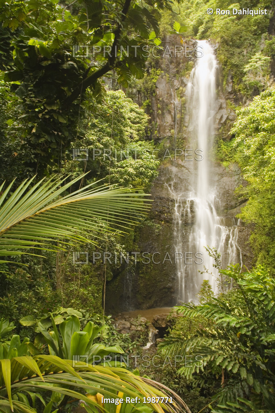 USA, Hawaii, Maui, Kipahulu, Wailua Falls surrounded by foliage; Hana Coast