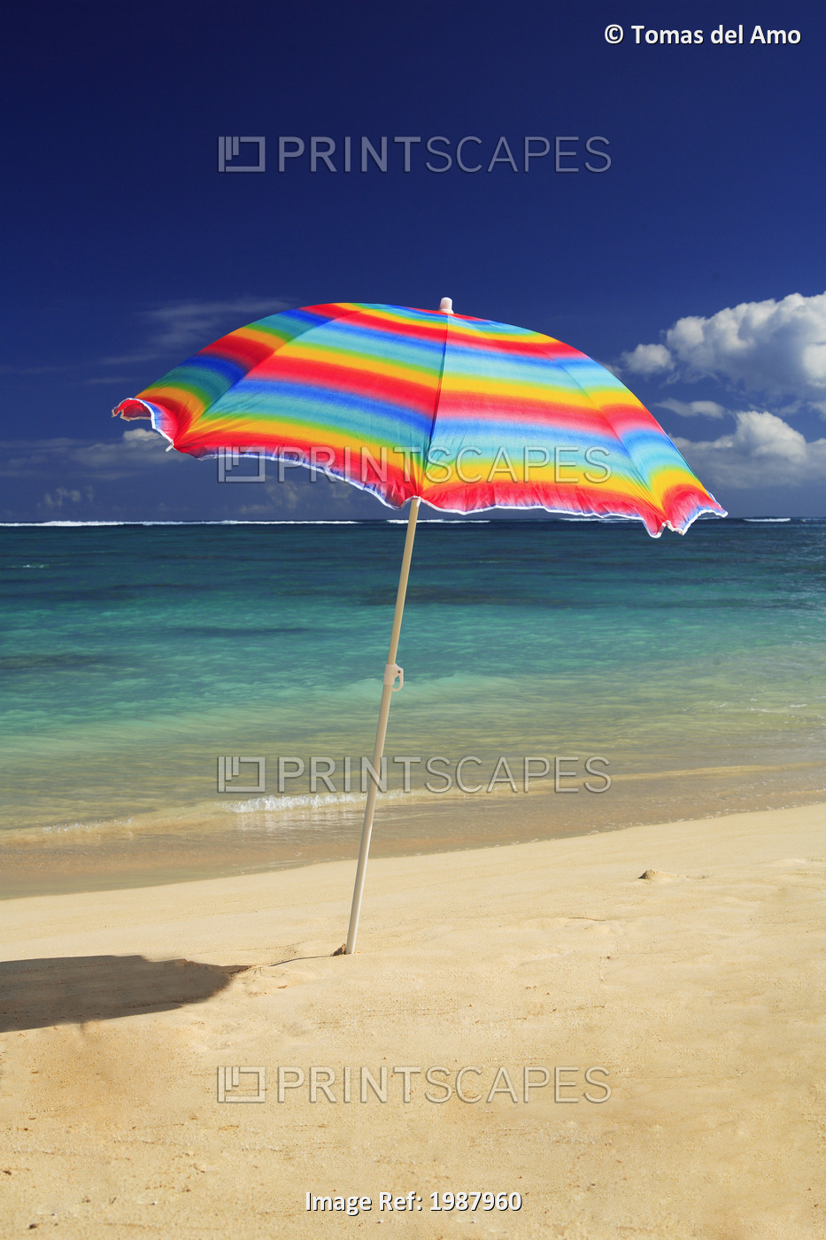 Colorful Beach Umbrella On The Shoreline Of A Tropical Beach, Calm Water ...