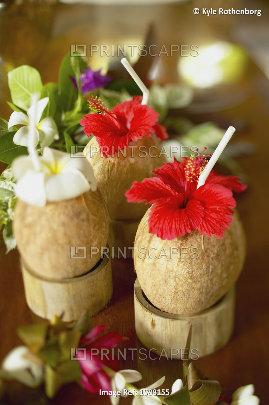 French Polynesia, Bora Bora, Close-Up Of A Refreshing Tropical Cocktails In ...