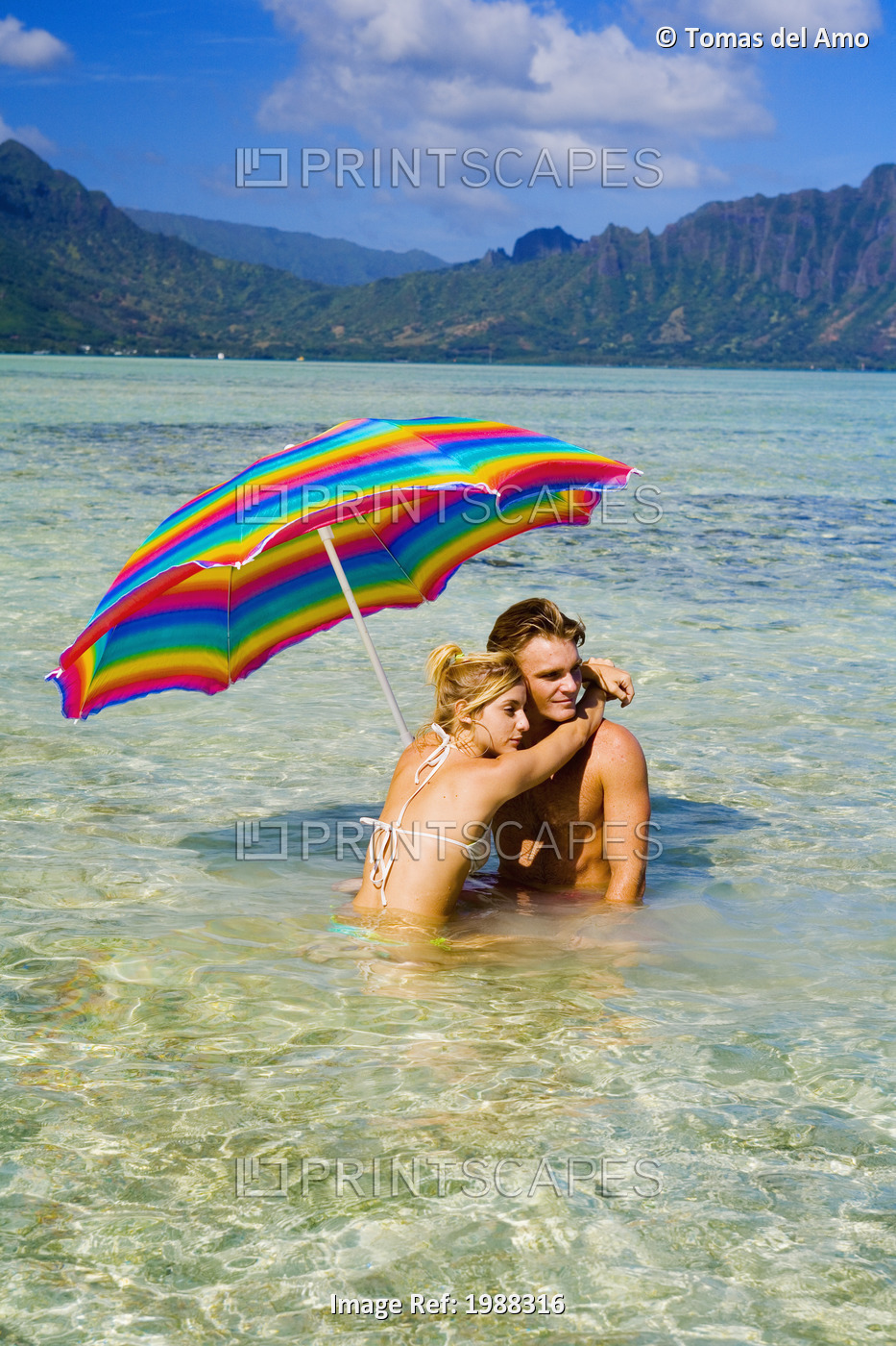 Hawaii, Oahu, Kaneohe, Couple Under A Brightly Colored Umbrella In Crystal ...