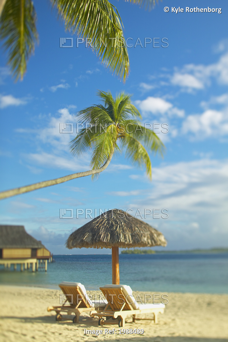 French Polynesia, Tahiti, Bora Bora, Lounge Chairs And Thatch Umbrella On Beach ...