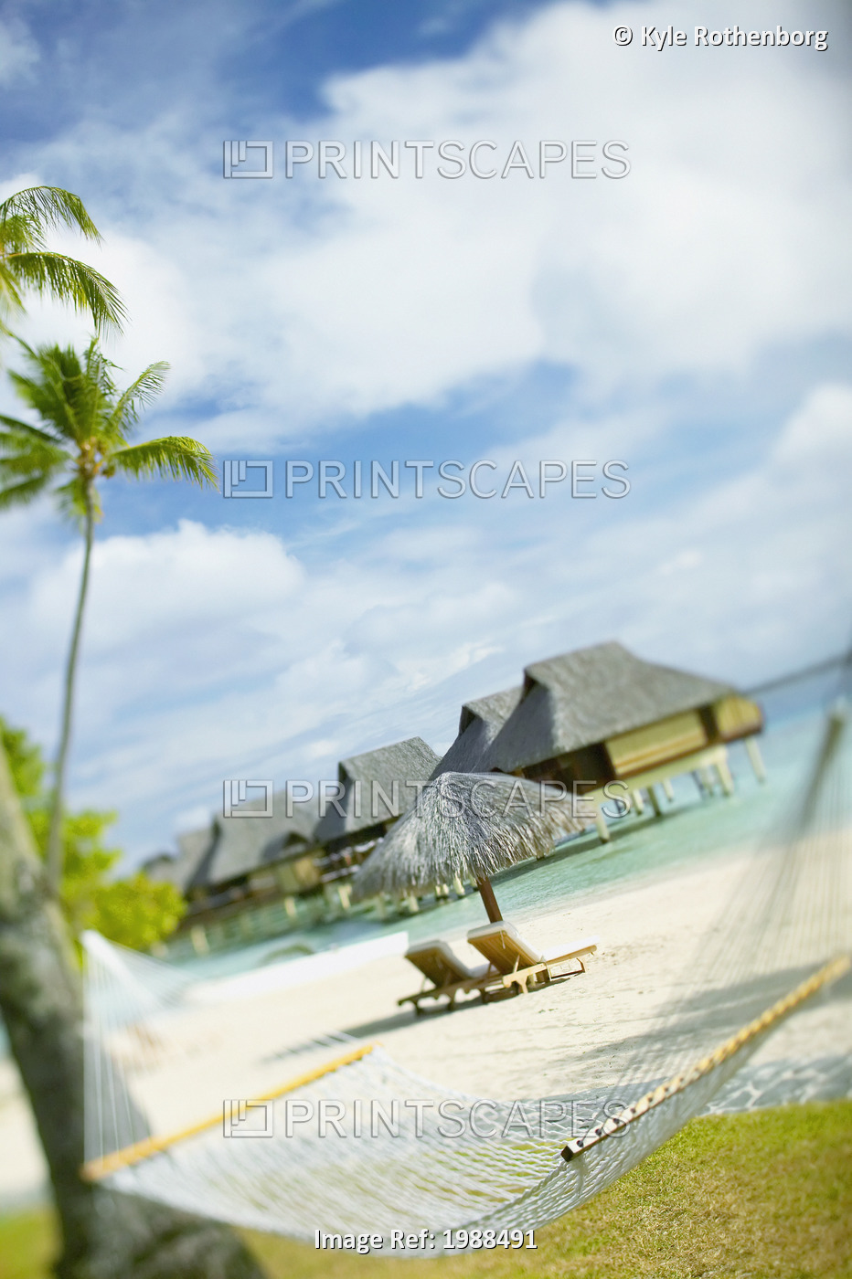 French Polynesia, Tahiti, Bora Bora, Hammock In Foreground Of Lounge Chairs And ...