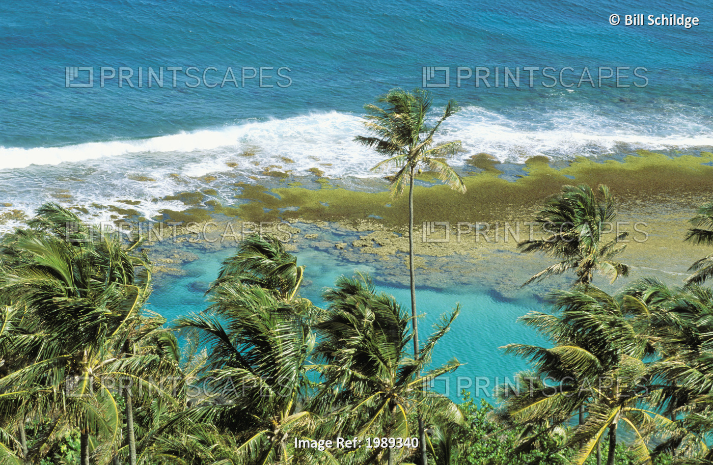 Hawaii, Kauai, Napali Coast, Palm Trees, Ocean With Breaking Waves, Coral Reef, ...