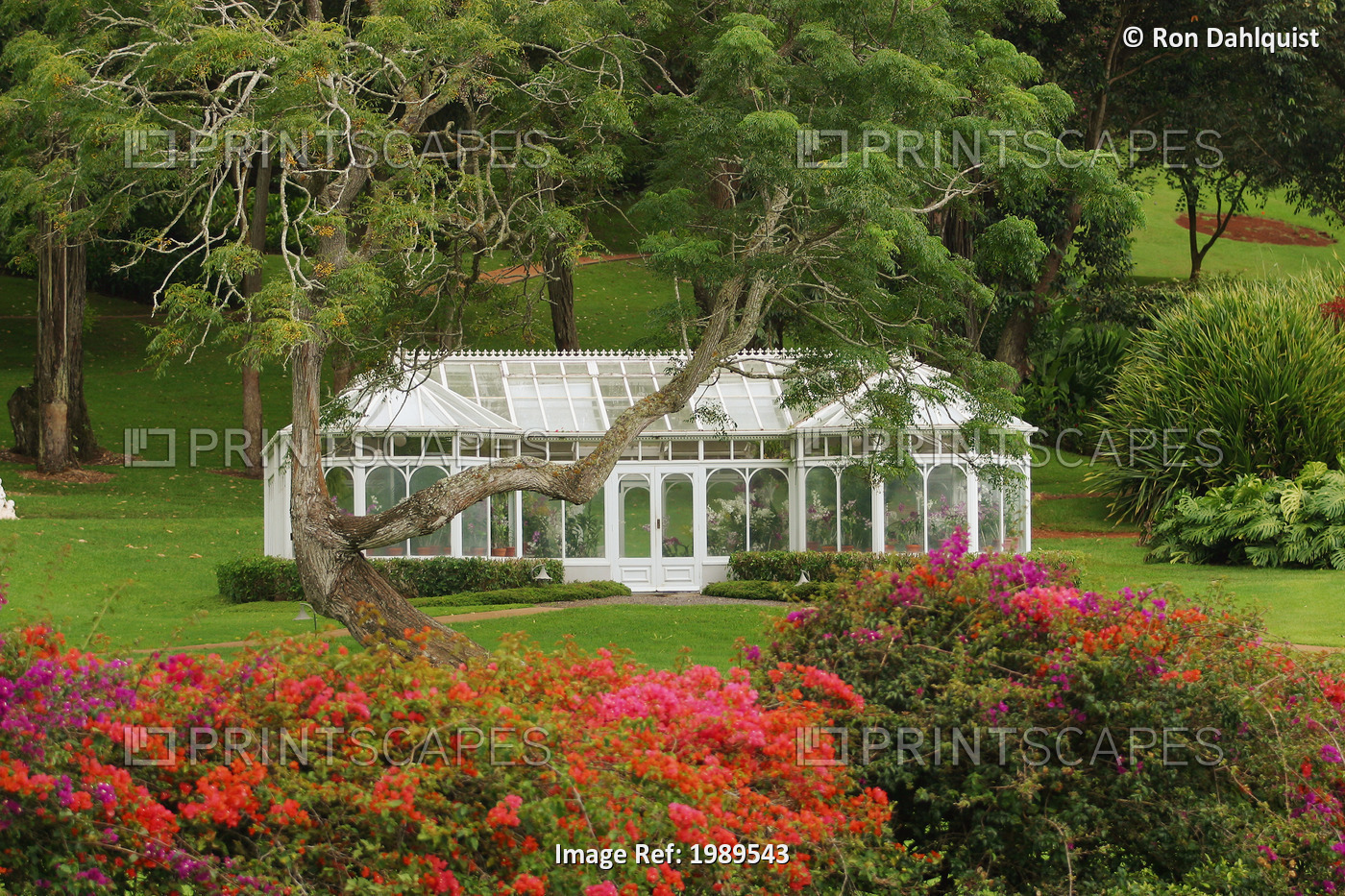 Hawaii, Lanai, Hulopoe Beach, Koele Ladge, Orchid House Among Flowers And Trees.