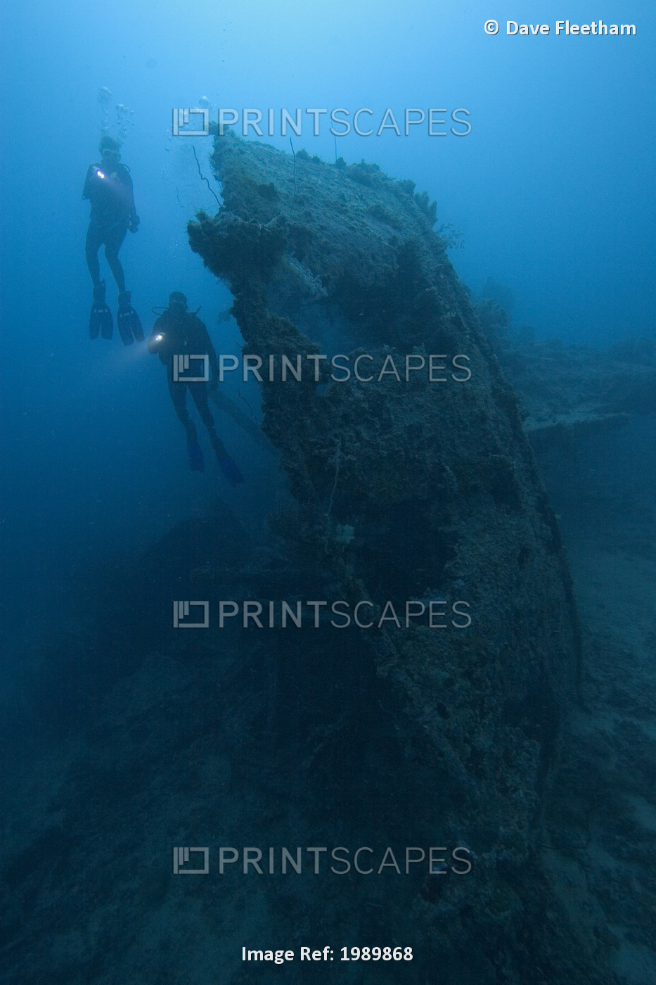Micronesia, Palua, Scuba Divers Explore A Wreck.