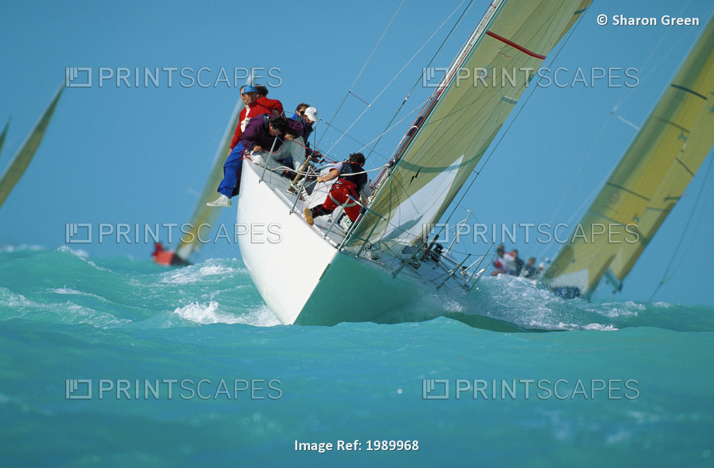 Florida, Key West Race Week, Front Of Yacht, Light Blue Waters