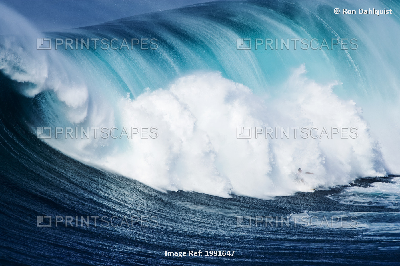 Hawaii, Maui, Yuri Farrant Surfs Huge Wave At Jaws, Aka Peahi.