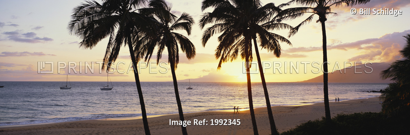 Hawaii, Couple walks on tropical beach at sunset, palm trees, boats anchored ...