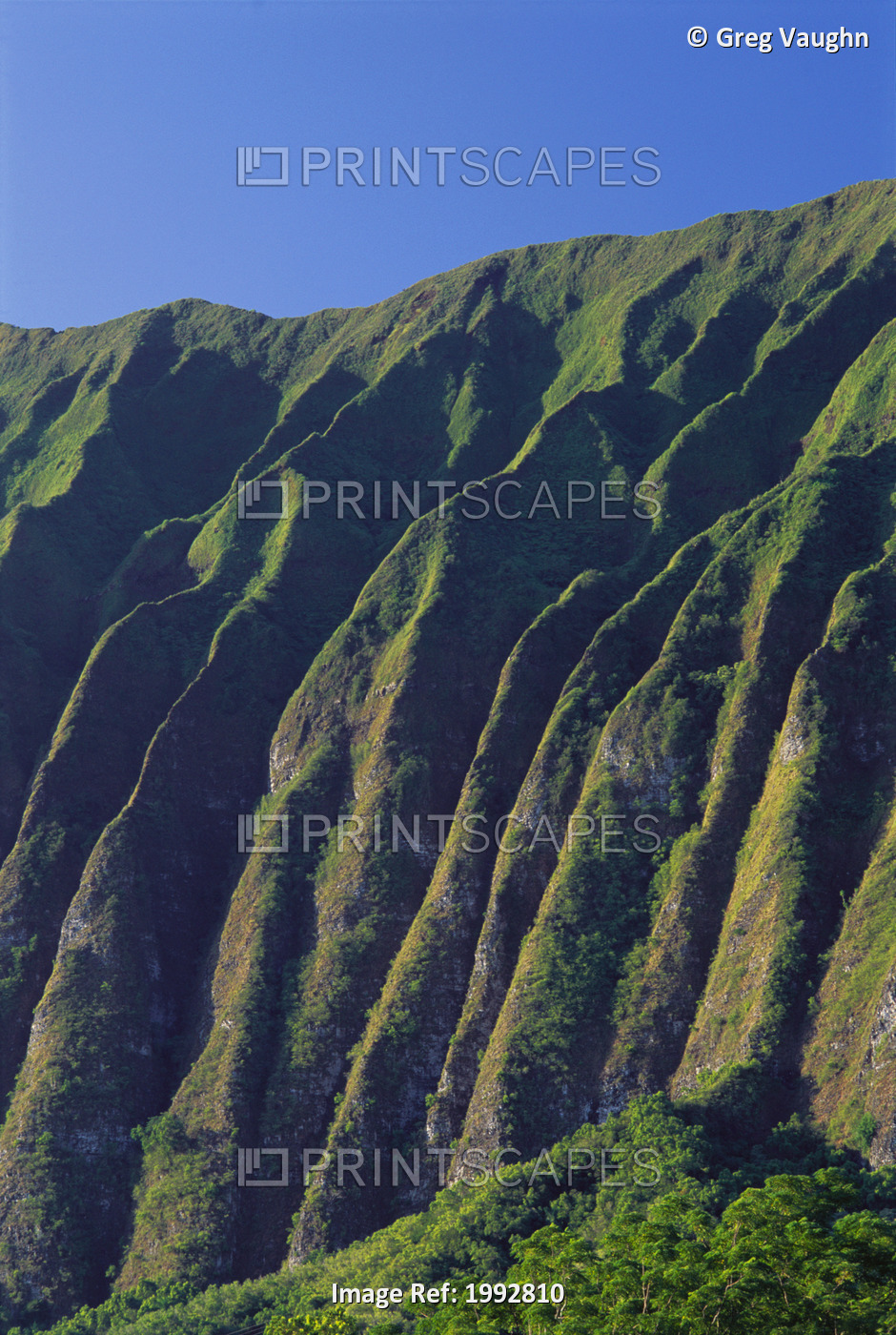Hawaii, Oahu, Pali And Cliffs On Windward Side Of Koolau Mountains.