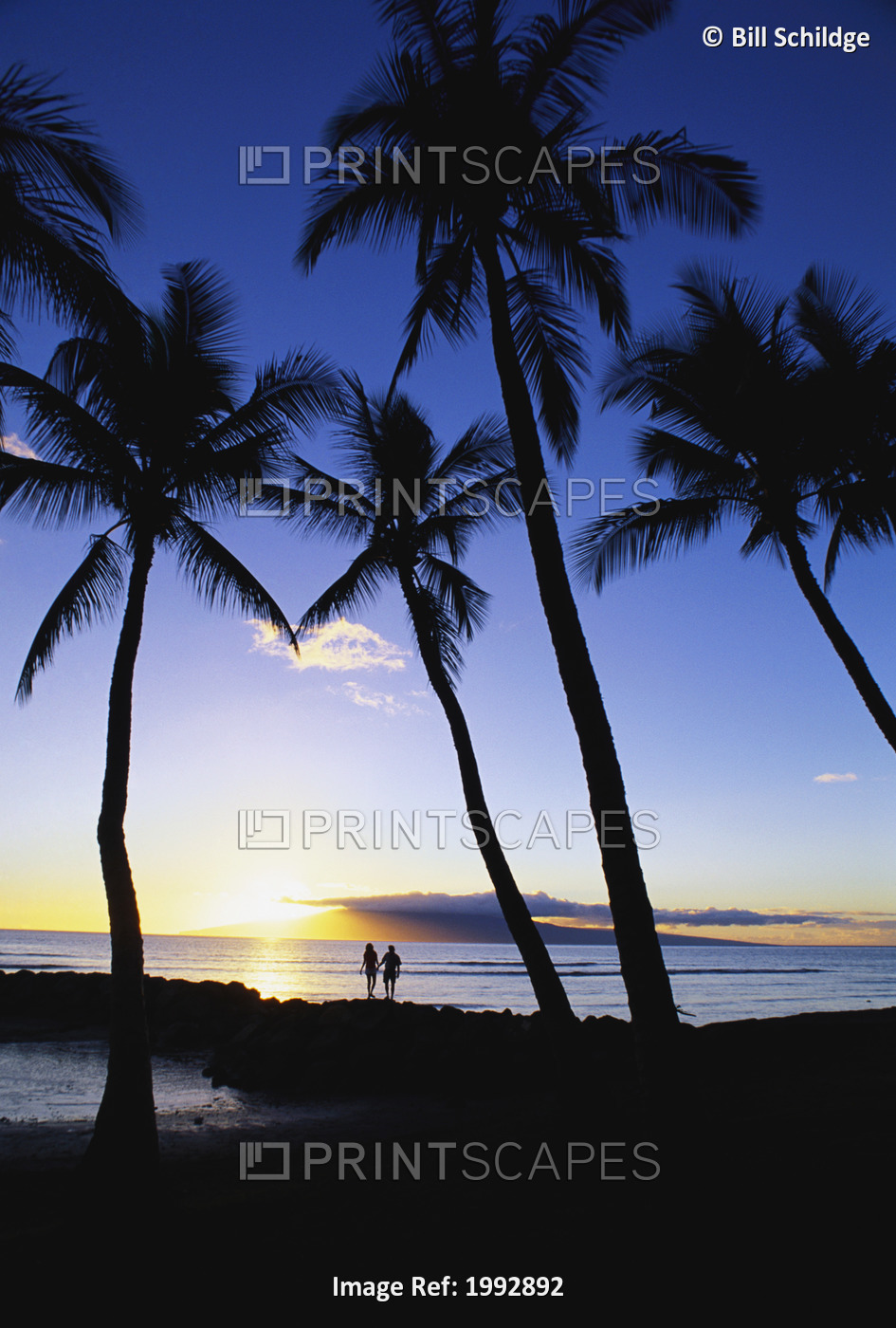 Hawaii, Maui, Launiupoko Park, silhouette of couple holding hands, walking ...