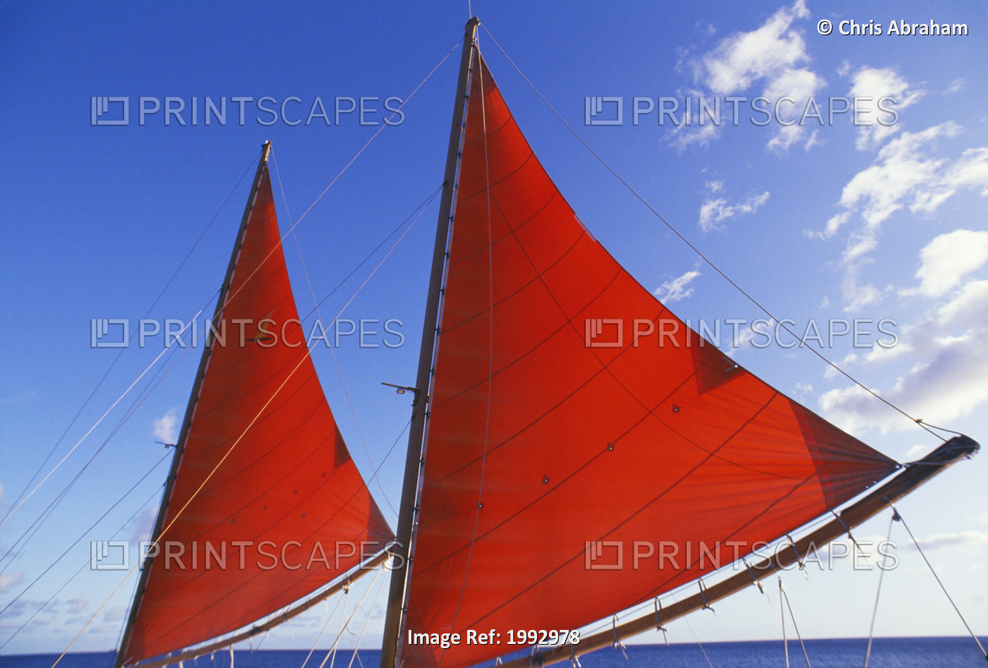 Hawaii, Oahu, Waikiki, Bright Red Sails Of Aikane Catamaran.