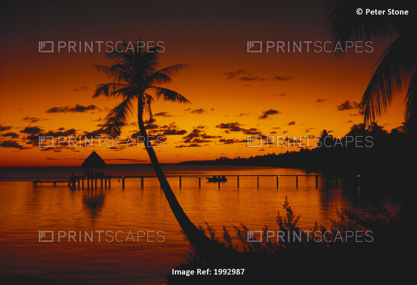French Polynesia, Rangiroa, Bungalows At Sunset, Silhouetted Palm Trees.