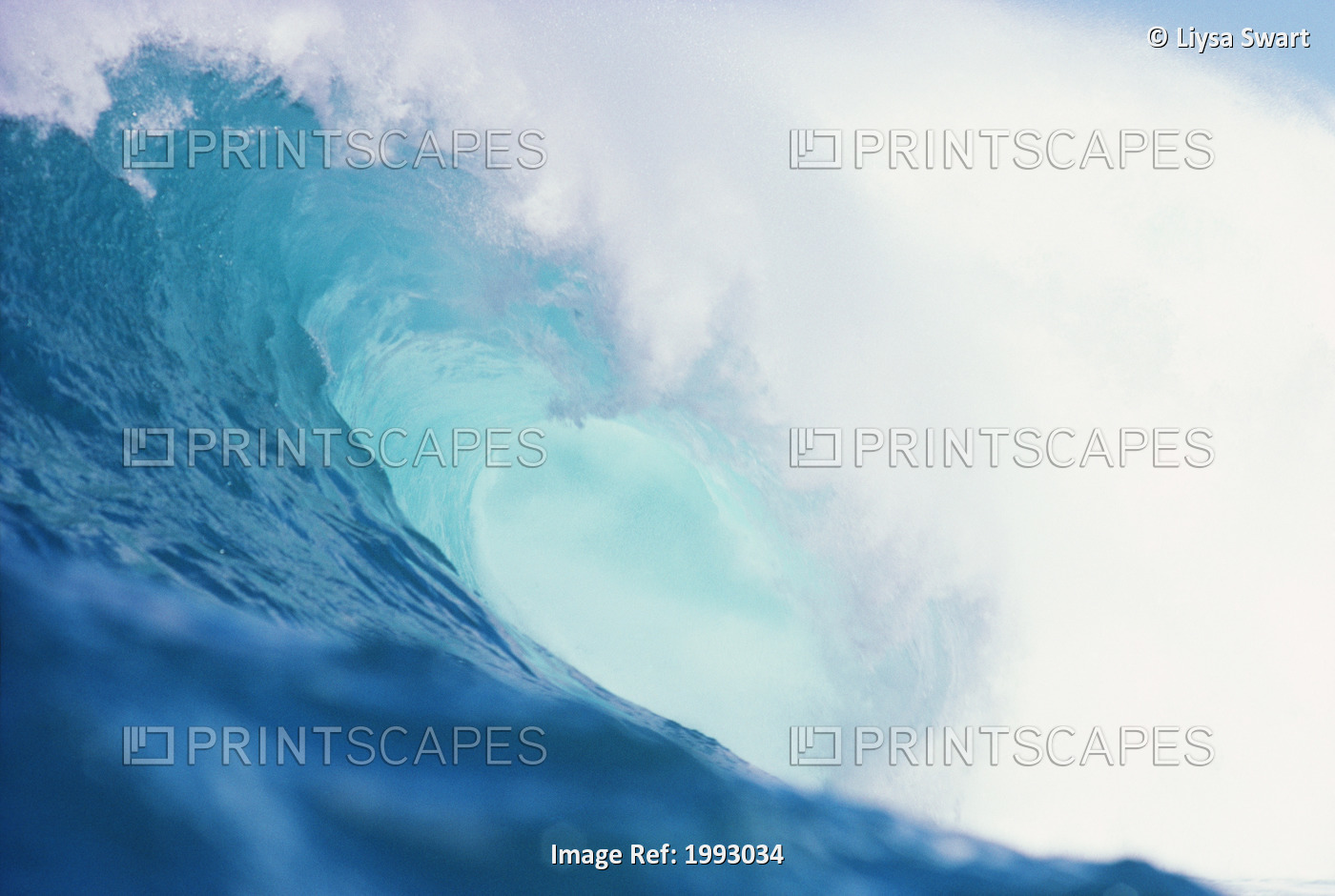 Wave Curling Over With Whitewash And A Barrel Forming