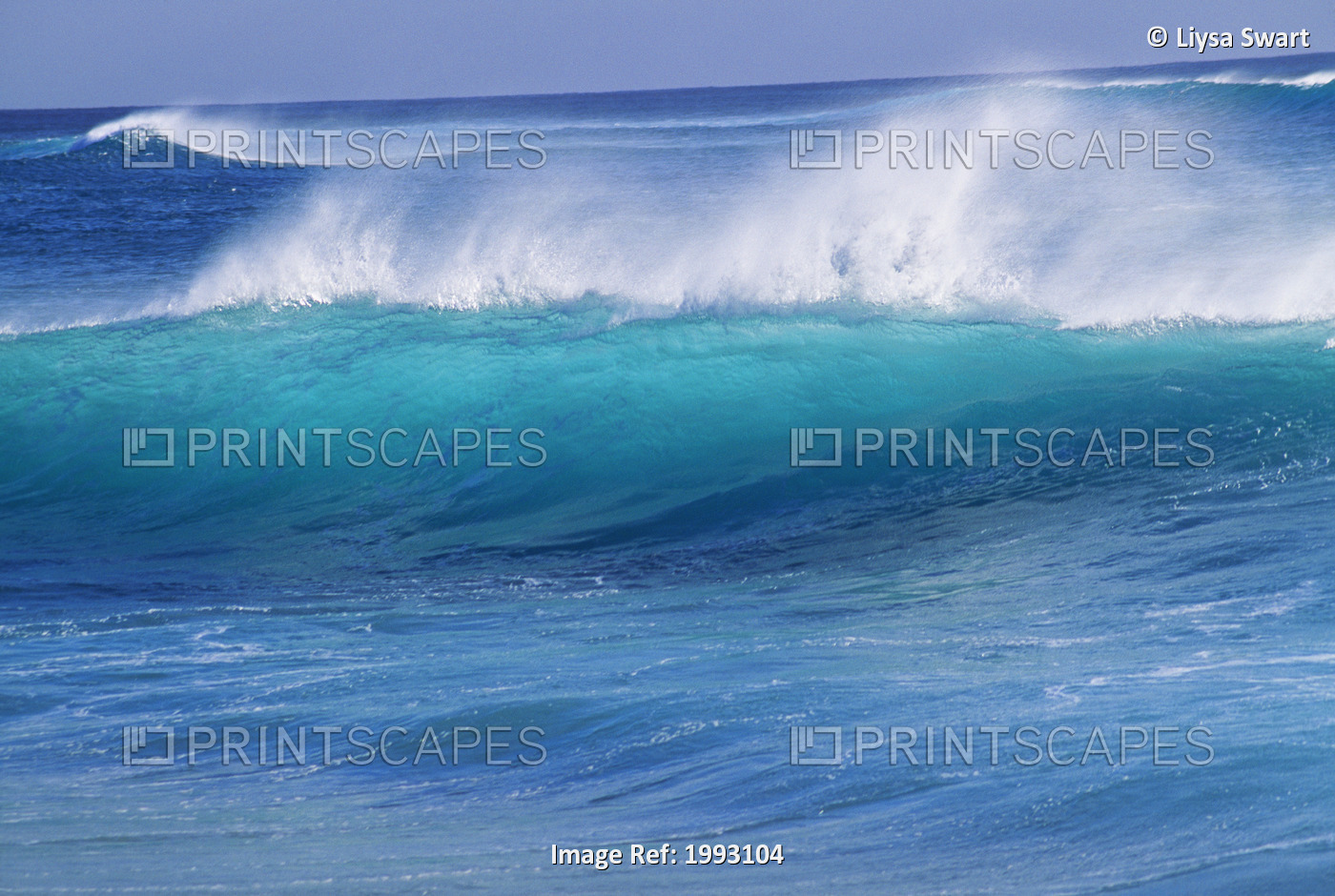Hawaii, Turquoise Wave With Windspray Flying Off The Crest.