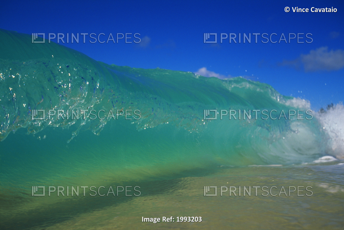 Curling Turquoise Wave Along Shoreline, Sand Visible With Clear Blue Skies.
