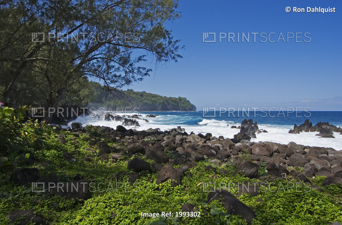 Hawaii, Big Island, Hamakua Coast Viewed From Laupahoehoe State Park.