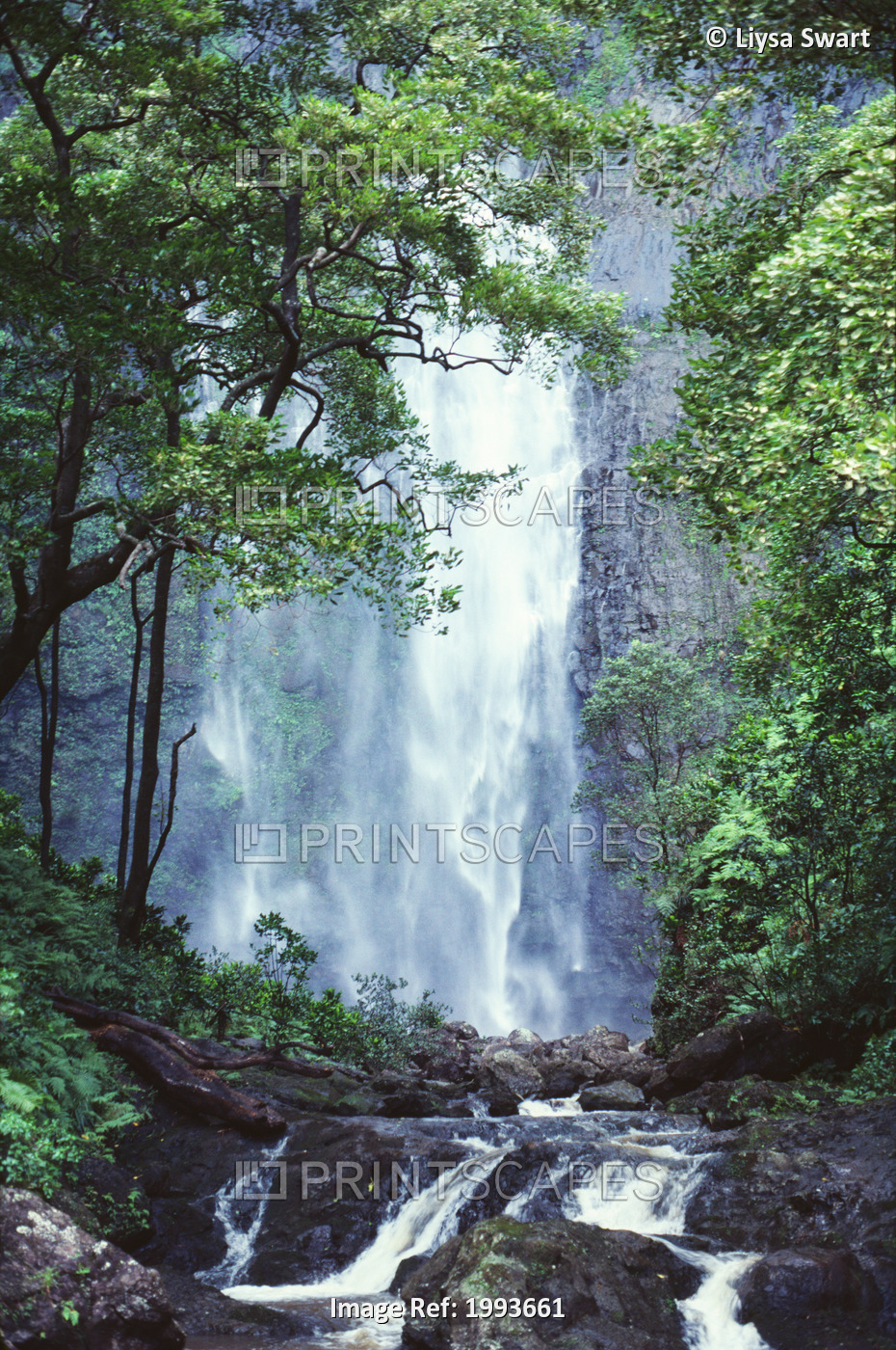 Hawaii, Waterfalls Cascading Down Rocky Cliff, Trees Overlook Stream In ...
