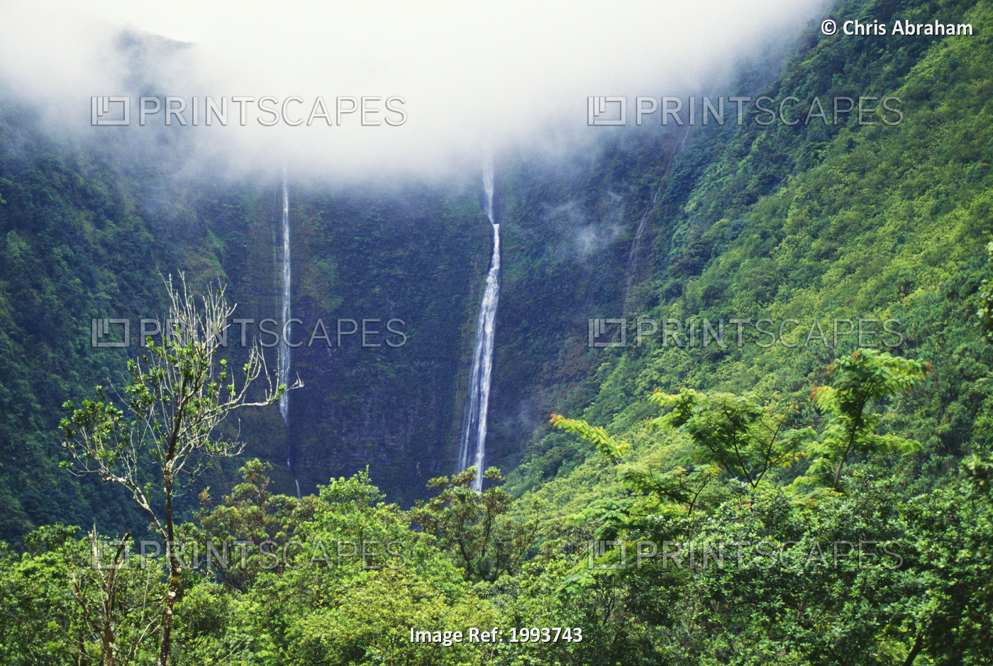 Hawaii, Big Island, Waipio Valley, Twin Waterfalls With Lush Greenery.