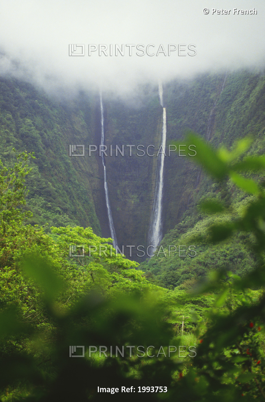 Hawaii, Big Island, Waipio Valley, Hiilawe Falls, Twin Waterfalls With Lush ...