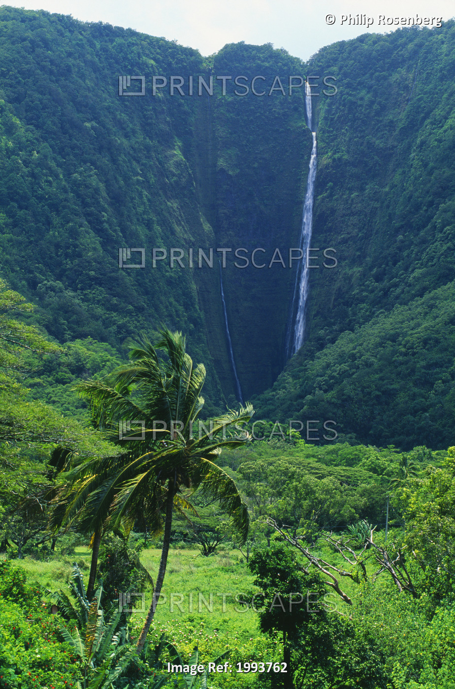 Hawaii, Big Island, Waipio Valley, Many Waterfalls And Lush Greenery.