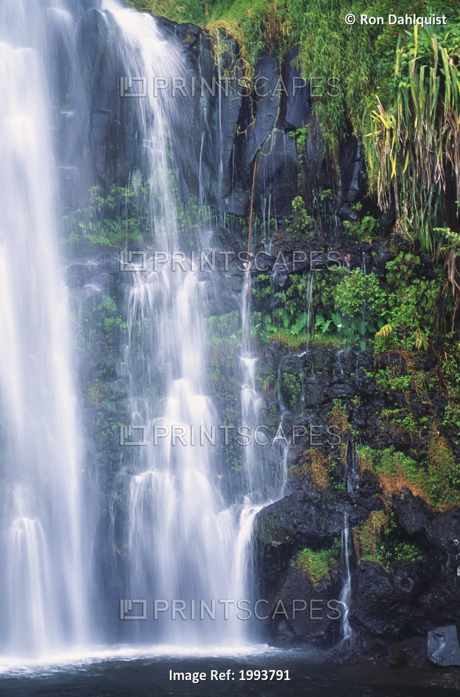 Hawaii, Maui, One Of Many Cascading Waterfalls Found Along Hana Coast.