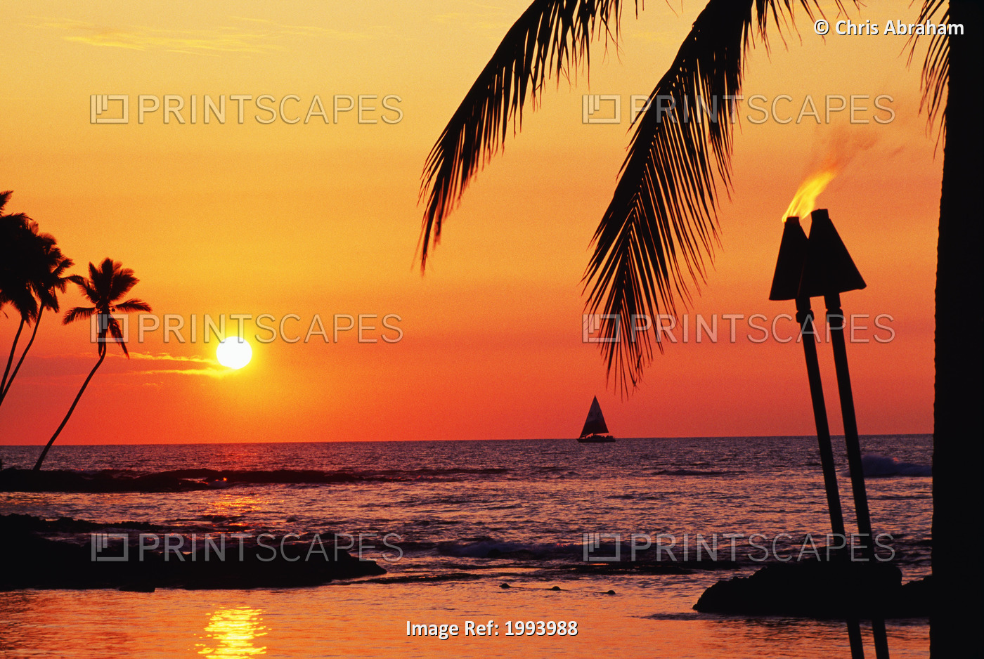 Hawaii, Big Island, Kohala, Waiulua Bay, Orange Sunset With Palm Trees, ...