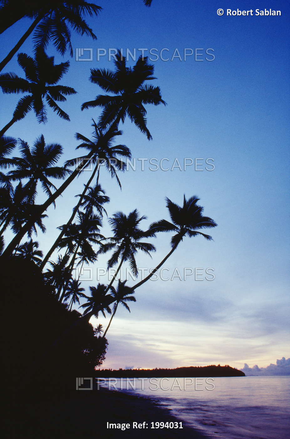 Fiji, Palm Trees Line The Beach At Twilight