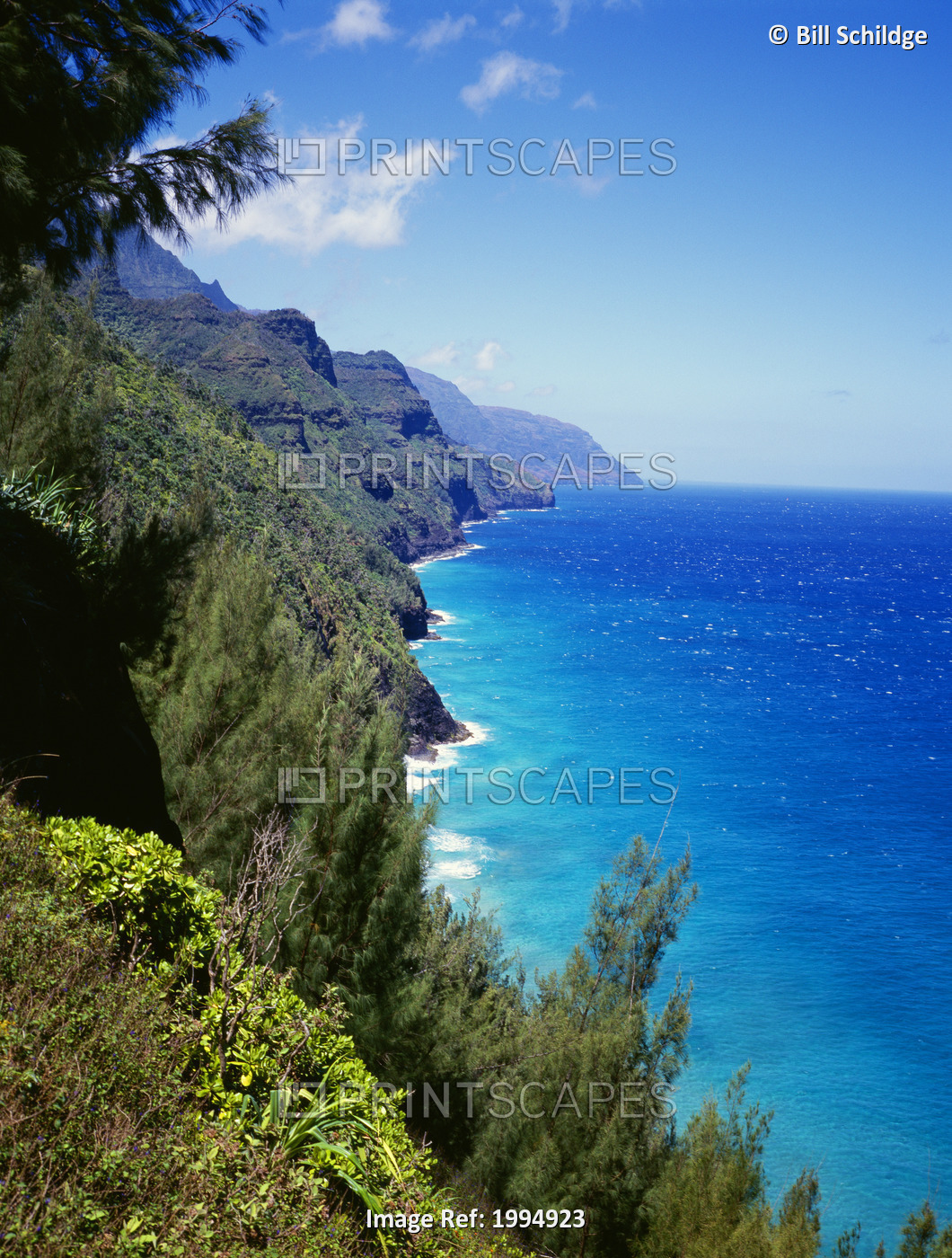 Hawaii, Kauai, Napali Coast Trail, Lush Greenery, Bright Blue Sky And Ocean