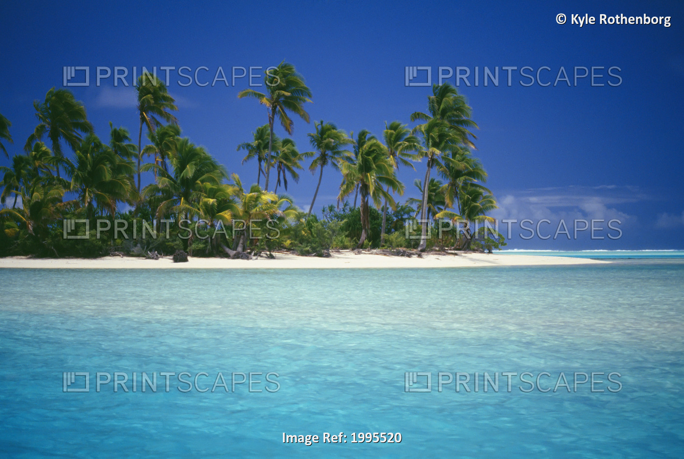 Cook Islands, Coastal Scenic Of Island With Palm Trees, Beach, Blue Water