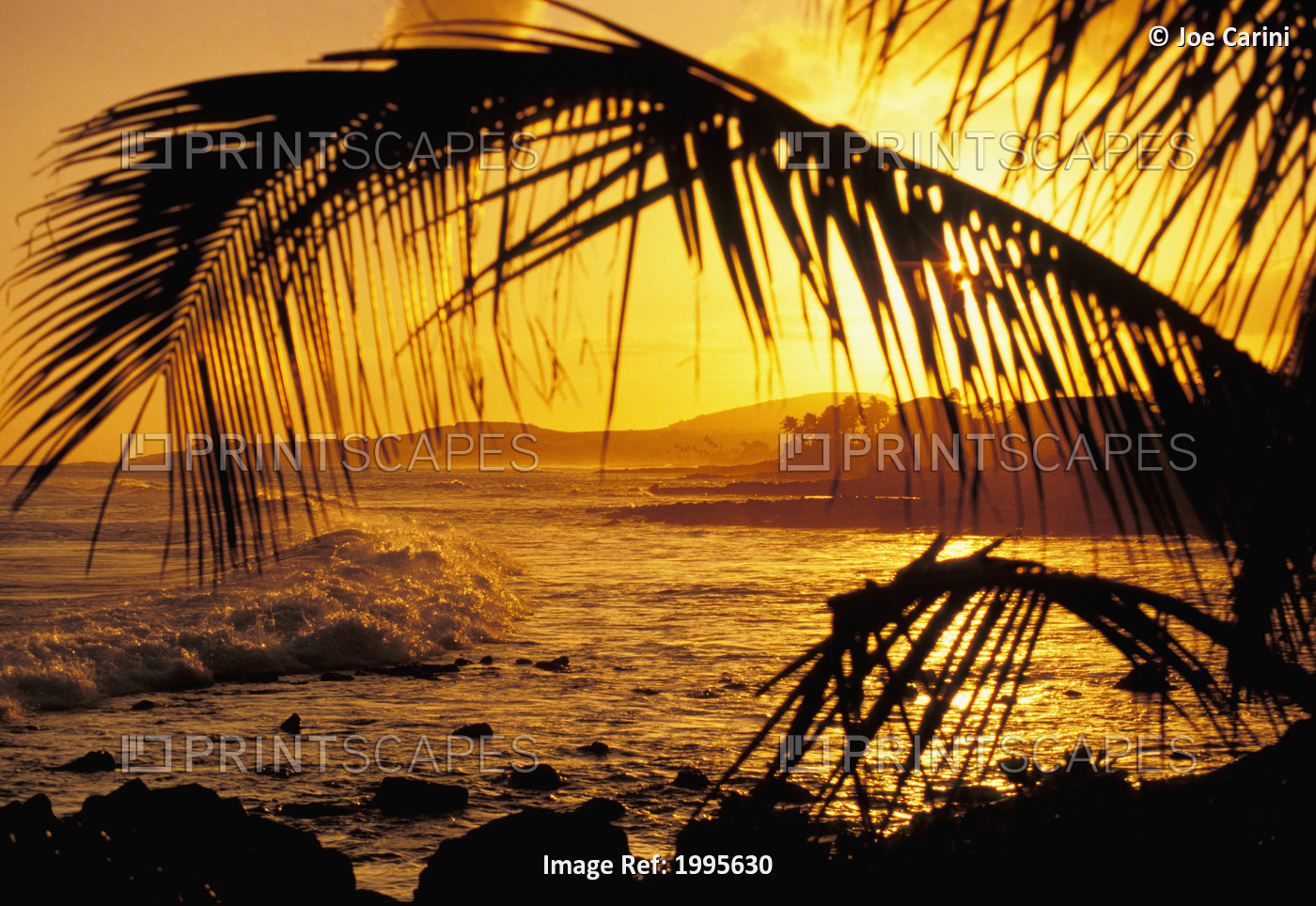 Hawaii, Kauai, Poipu, Tropical Sunset With Palm Fronds