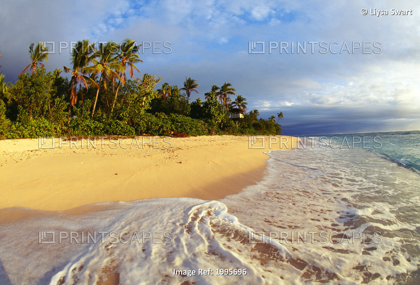Fiji, Waves Washing Onto Tropical Beach, Palm Trees, Cloudy Sky