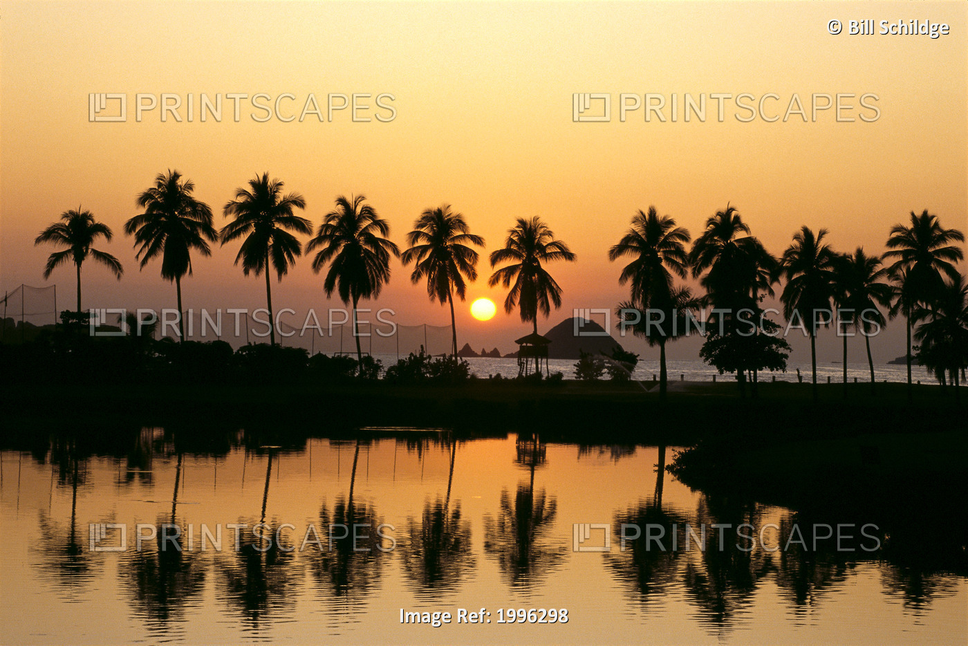 Mexico, Ixtapa, Sunset With Palms, Reflections On Water Foreground A53F