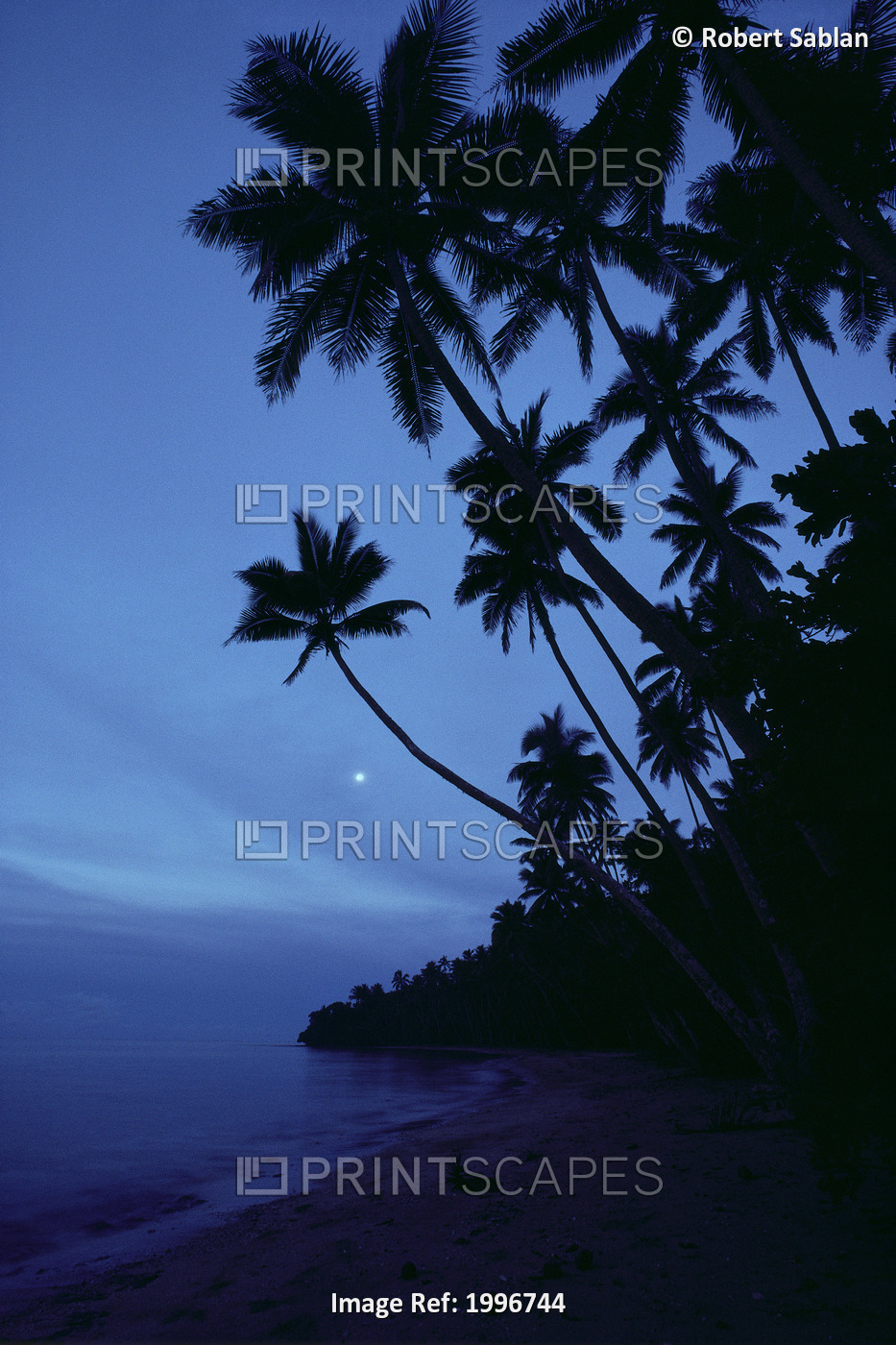 Fiji, Twilight Silhouetted Palm Trees Along Shoreline, Full Moon, Misty Blue ...