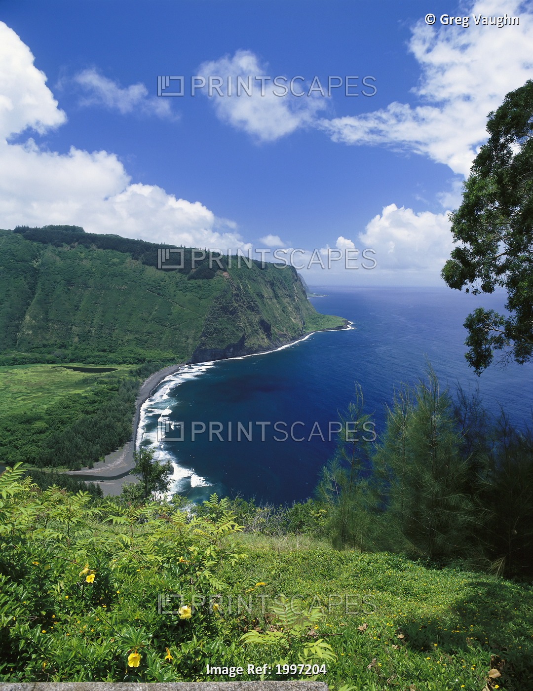 Hawaii, Big Island, Hamakua Coast, Scenic Overview Of Waipio Valley A44G