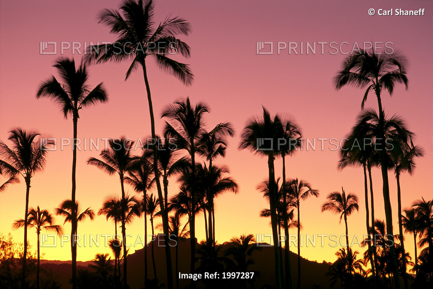 Hawaii, Kauai, Sleeping Giant And Coconut Grove At Sunset, Silhouetted A41D