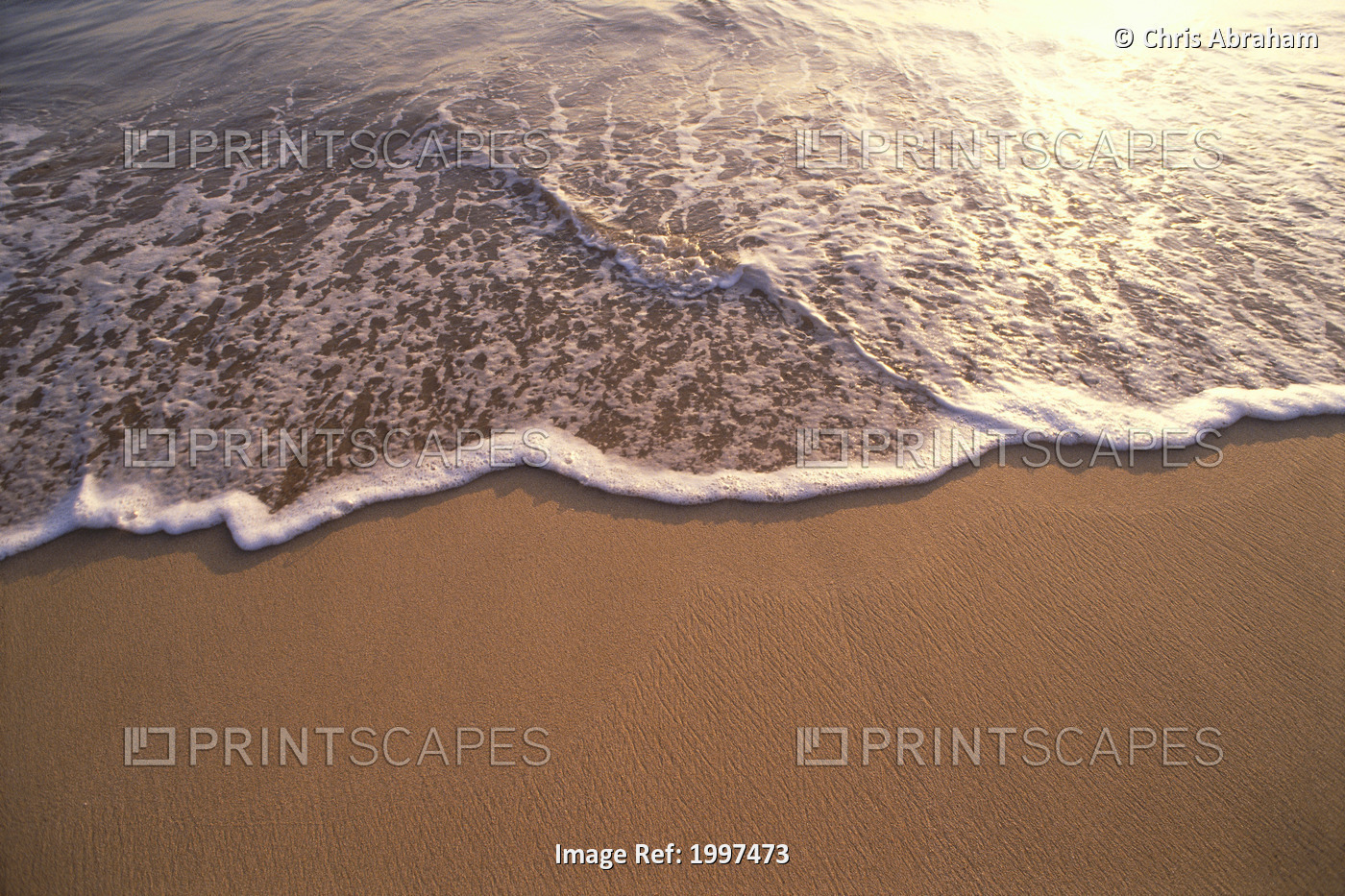 Ocean Shoreline Water On The Sand, Texture And Motion, Sunset Reflections A32C