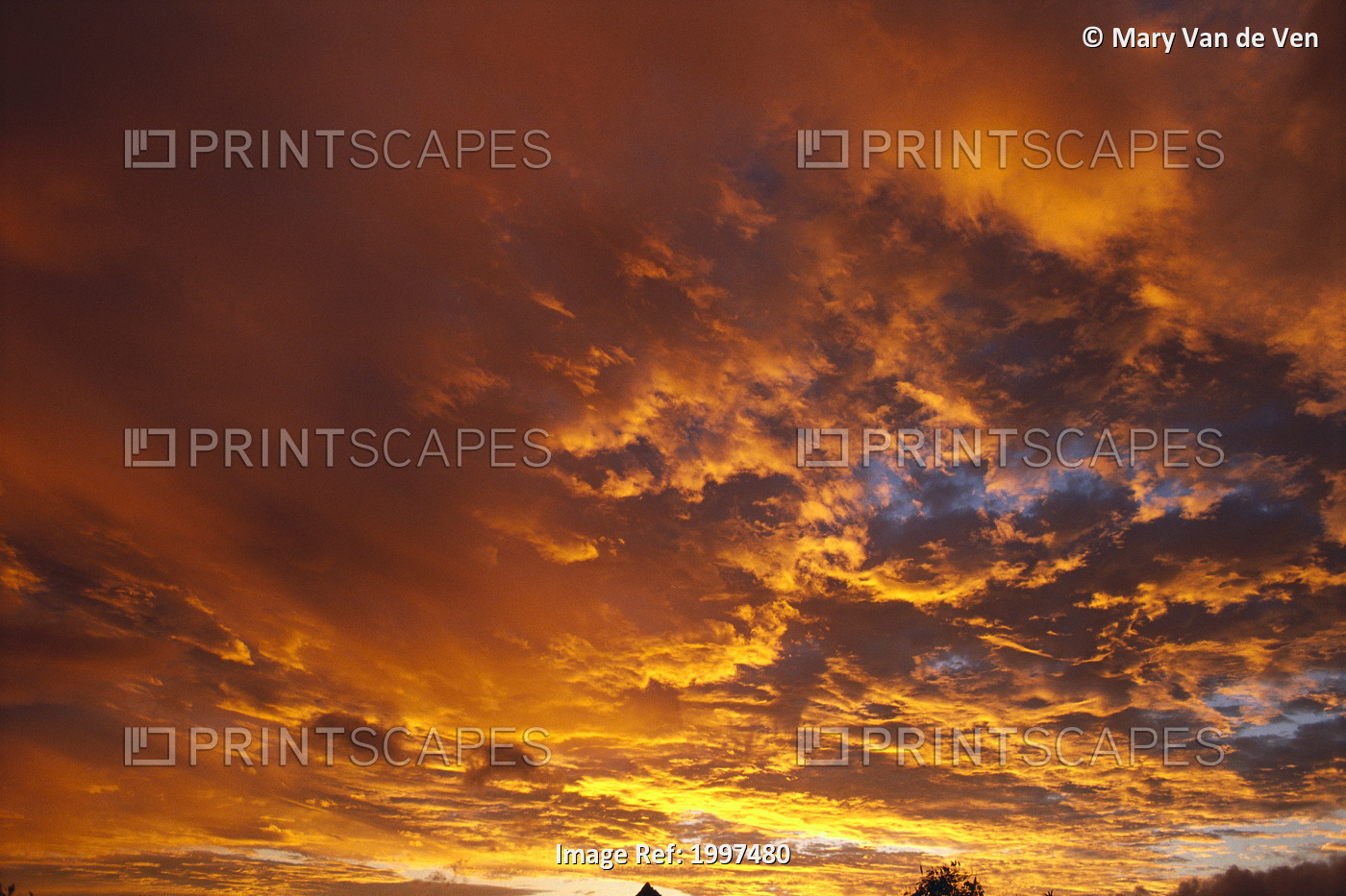 Spectacular Large Clouds At Sunrise, Orange Pink Golden Sky A35F
